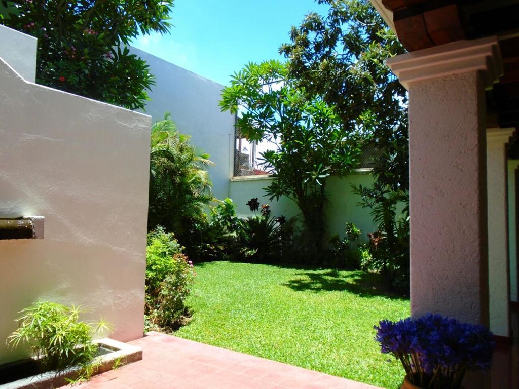 Paulina Youth Hostel Oaxaca Dış mekan fotoğraf